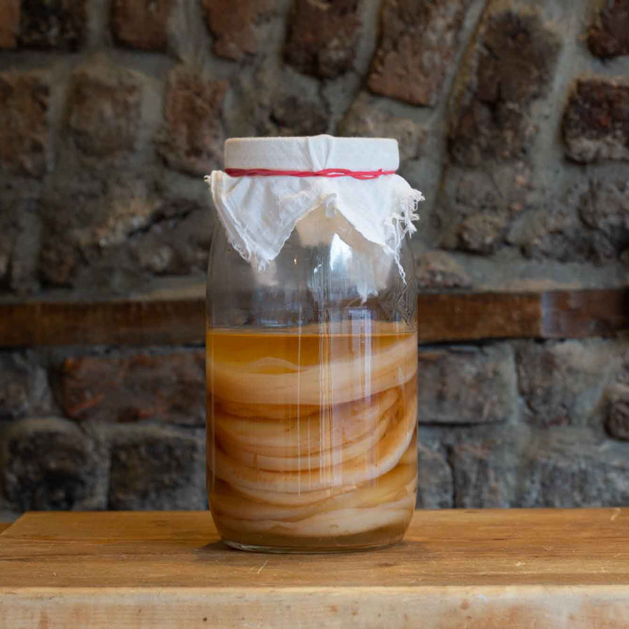 Clement and Pekoe Dublin, Tea and Coffee specialists, SCOBY in jar for Organic Kombucha